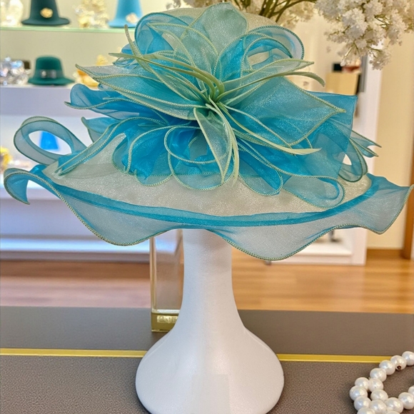 C.C Exclusives Organza Hat NWOT - Picture 1 of 4